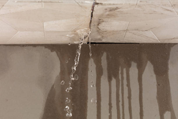 Professional Structural Drying technician working in Lineville, AL